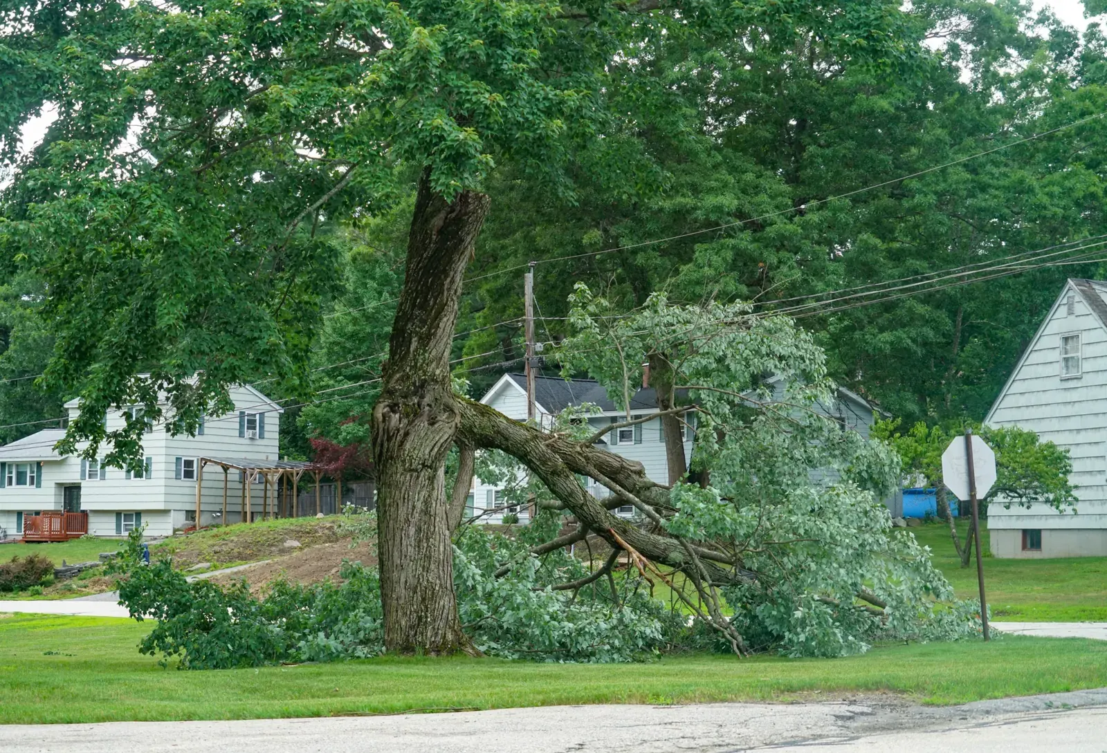 Large limb split from a tree trunk after a storm, resting in a residential yard beside a house